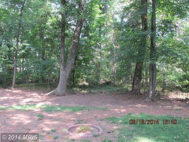 13116 Bramblewood Ln, Herndon, VA 20171 - photo 5