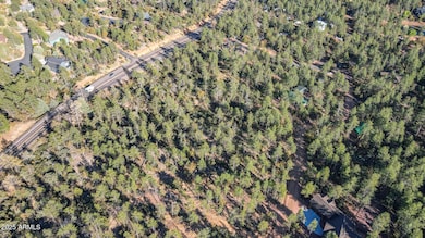 Lot 4 Pine Hollow Trail unit 4, Pine, AZ 85544 - photo 6