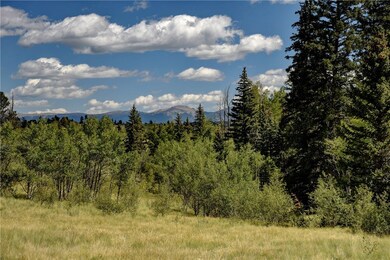 293 Squaw Trail, Como, CO 80432 - photo 3