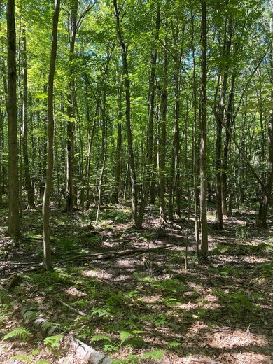 653 Sixth Rd, Pembroke, NH 03275 - photo 2