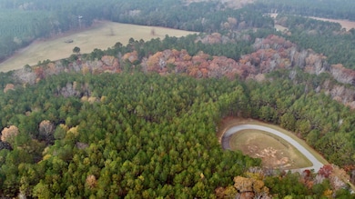 1125 Hunters Landing, Tignall, GA 30668 - photo 4