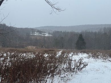 Jennison Rd, Edmeston, NY 13335 - photo 2