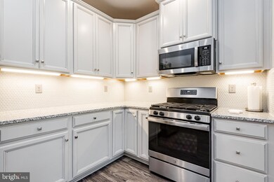 10110 Seattle Slew Ln unit P, Laurel, MD 20723 - photo 6