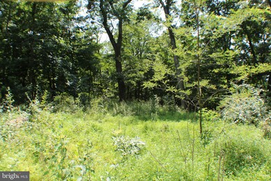 Lot 8 Sec 2 High Knob Rd, Old Fields, WV 26845 - photo 5