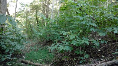 0000 Kidwell Ridge Rd, Morristown, TN 37814 - photo 5