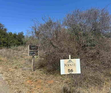 Lot 56 War Bonnet Ridge, Kingsland, TX 78639 - photo 7