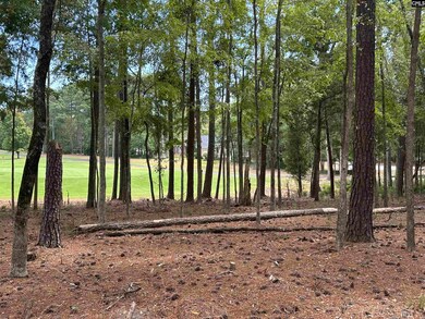 569 Misty Banks Dr, Chapin, SC 29036 - photo 5