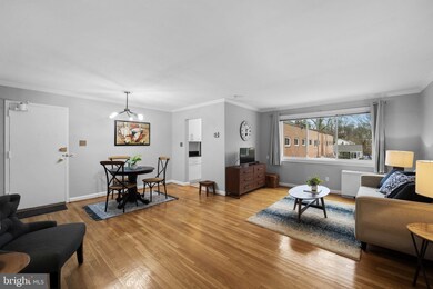 9732 Glen Ave unit 201, Silver Spring, MD 20910 - photo 2