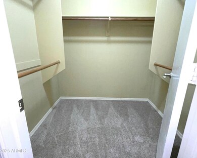 Primary Closet