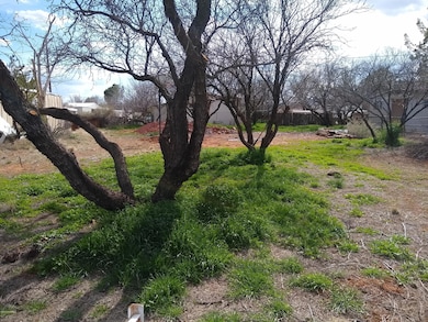 unlisted-address, Cornville, AZ 86325 - photo 2