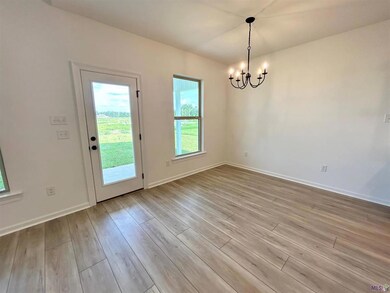 46030 Terra Cotta Ct, Hammond, LA 70401 - photo 6