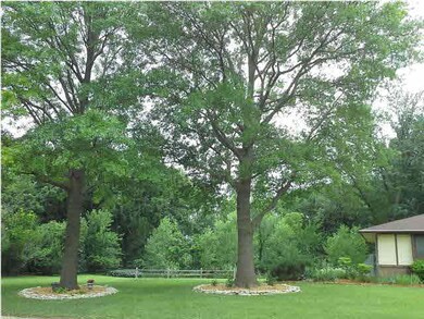 Beautiful mature trees everywhere