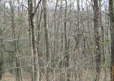 0 W 13th St unit 428276, Jim Thorpe, PA 18229 - photo 5