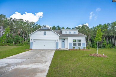 242 Caballeros Trail, Prosperity, SC 29127 - photo 2