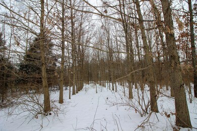 3509-3657 S 950 W, Mentone, IN 46539 - photo 5