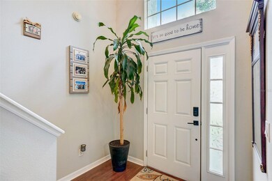 9709 Jasmine Brook Cir, Land O Lakes, FL 34638 - photo 4