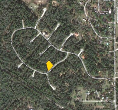 25111 E Tara Plantation Dr, Tomball, TX 77375 - photo 7