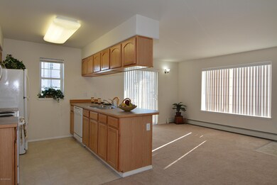 Living and kitchen area