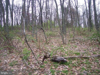 0 Hill Rd unit 1003439364, Warfordsburg, PA 17267 - photo 5