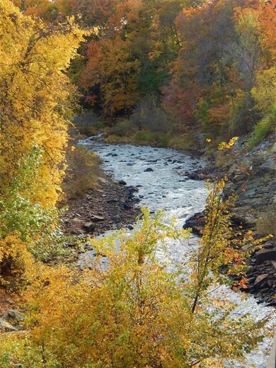 Emerson Mills unit M08, Pembroke, NH 03275 - photo 5