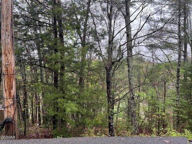 Lot 1 Mountain View Ln, Pigeon Forge, TN 37863 - photo 6