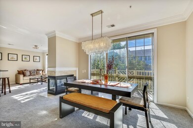 1735 Kingsgate Ct unit 303, Alexandria, VA 22302 - photo 4