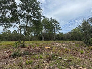 0 NE 135th St unit MFROM709418, Salt Springs, FL 32134 - photo 5