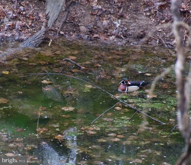 3 Barstad Ct, Lutherville Timonium, MD 21093 - photo 5