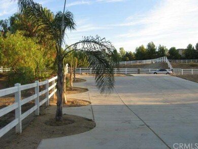 TREE LINED VIEW OF DRIVEWAY