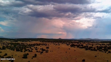 1109 Jackpot Ranch Rd, Seligman, AZ 86337 - photo 5