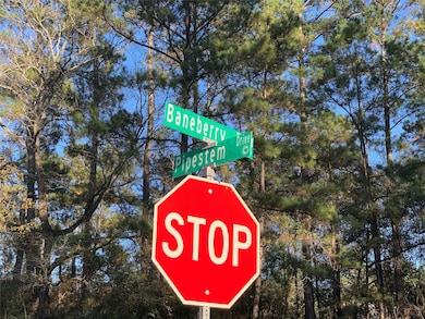 Lot 111, Block 8 Clear Creek Forest Sec 11, Magnolia, TX 77355 - photo 4