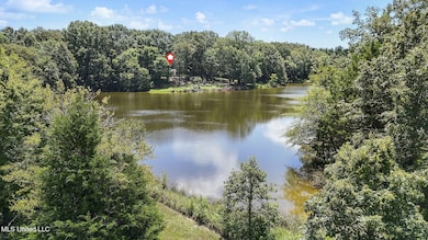 1761 Parks Place Rd, Como, MS 38619 - photo 5