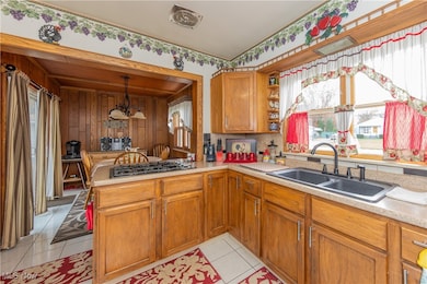 1411 Chapman Dr, Akron, OH 44305 - photo 6