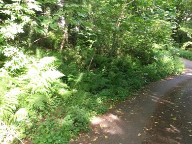 47 W Mercer Way, Mercer Island, WA 98040 - photo 6