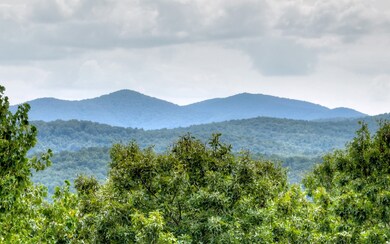 Additional View