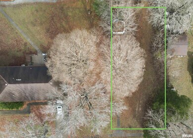 123 E Pulley St, Hurst, IL 62959 - photo 5