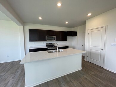 501 Monte Carlo Way, Joliet, IL 60436 - photo 2