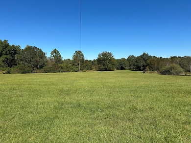 0 Highway 82, Sumner, GA 31789 - photo 5