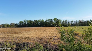 120 Old Main Rd, Pembroke, NC 28372 - photo 3