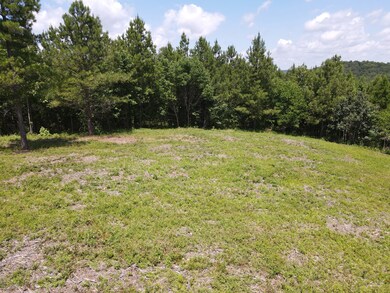 0 White Oak Rd unit RTC2679743, Stewart, TN 37175 - photo 7