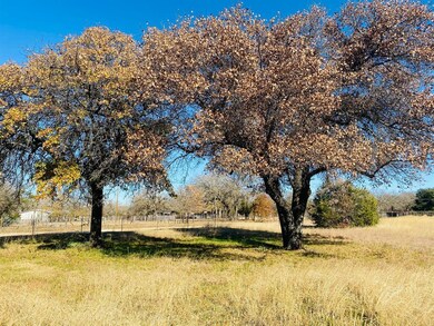 509 Hide Away Ln, Weatherford, TX 76088 - photo 6