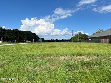 101 Gaynor Dr, Scott, LA 70583 - photo 3