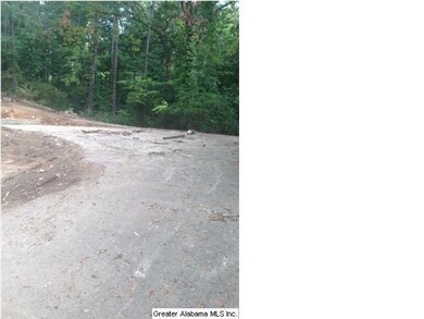Existing Driveway