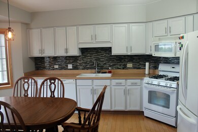 14100 Sheffield Dr unit 304, Homer Glen, IL 60491 - photo 6