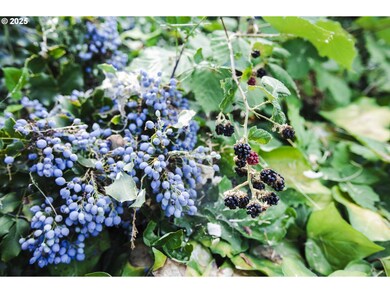 811 NE Clyde Place unit 116 C, Grants Pass, OR 97526 - photo 7