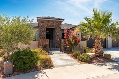 379 Chuckwalla-6