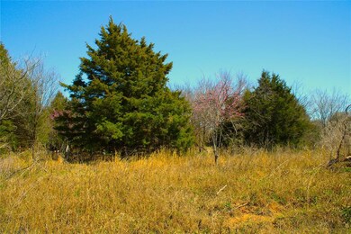 0 Fm 2859 unit 20017016, Other, TX 75110 - photo 2