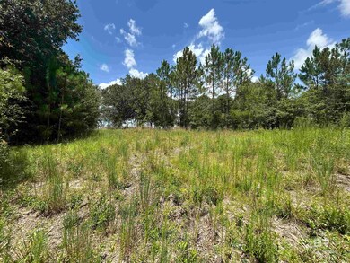 10790 Cattle Branch Ct unit 10, Mobile, AL 36608 - photo 6