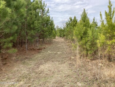 0 N Broadridge Rd unit 100444947, Orrum, NC 28369 - photo 6