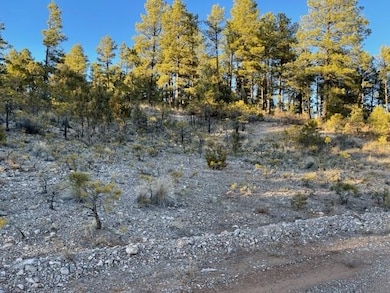 Lots 16-17 Gemini Rd unit 16-17, Timberon, NM 88350 - photo 2